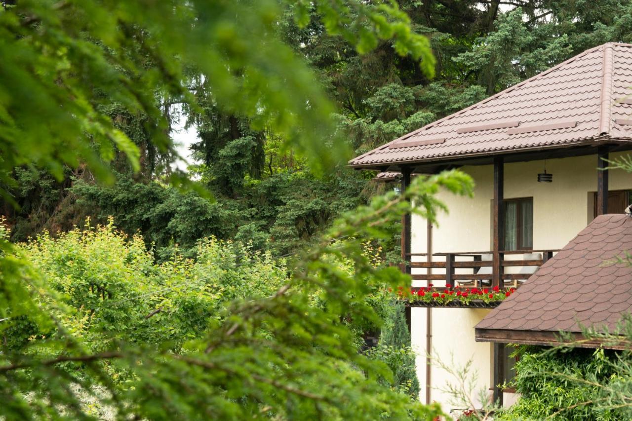 Pension Andra'S House Хорезу Екстериор снимка