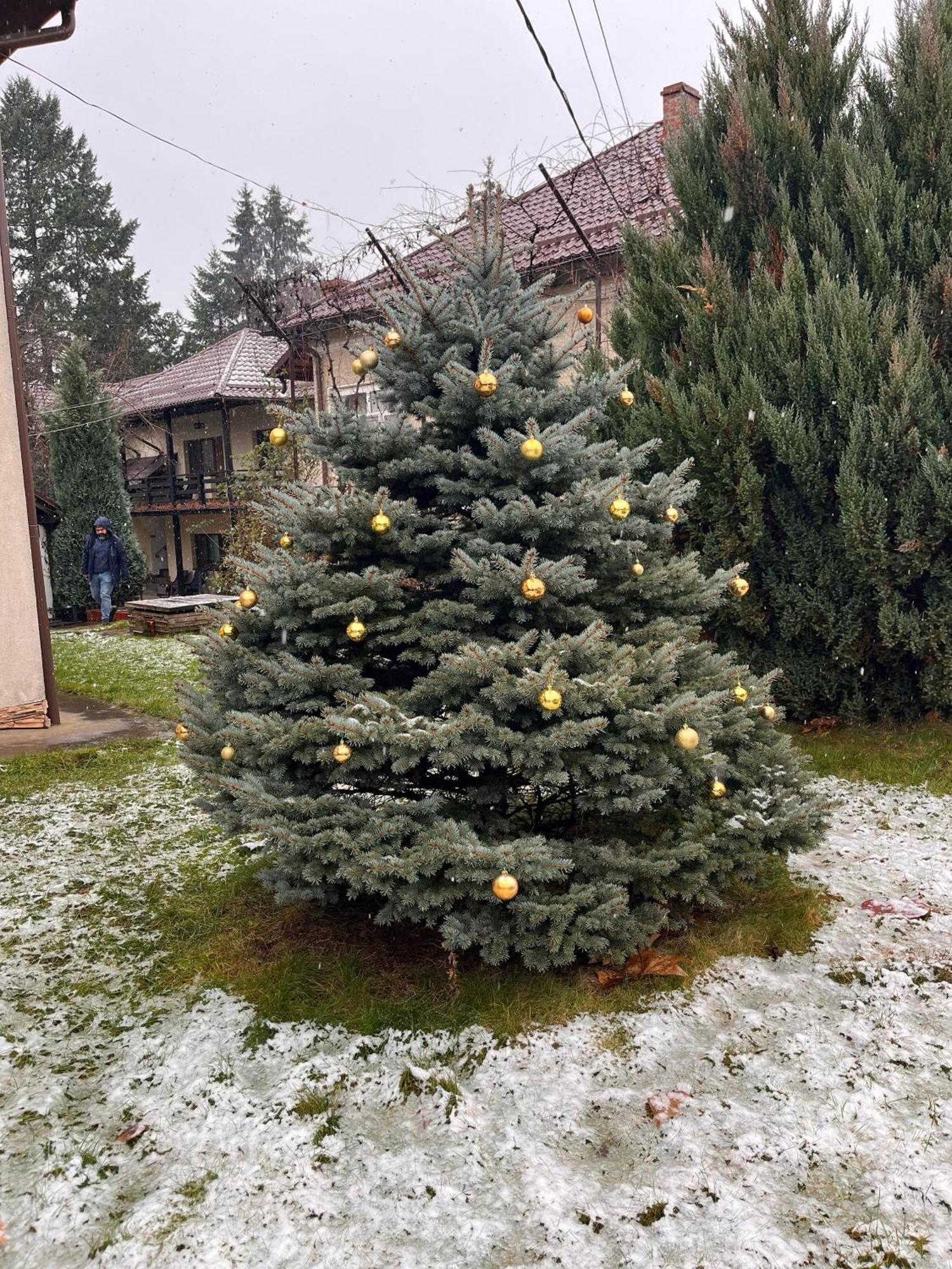 Pension Andra'S House Хорезу Екстериор снимка